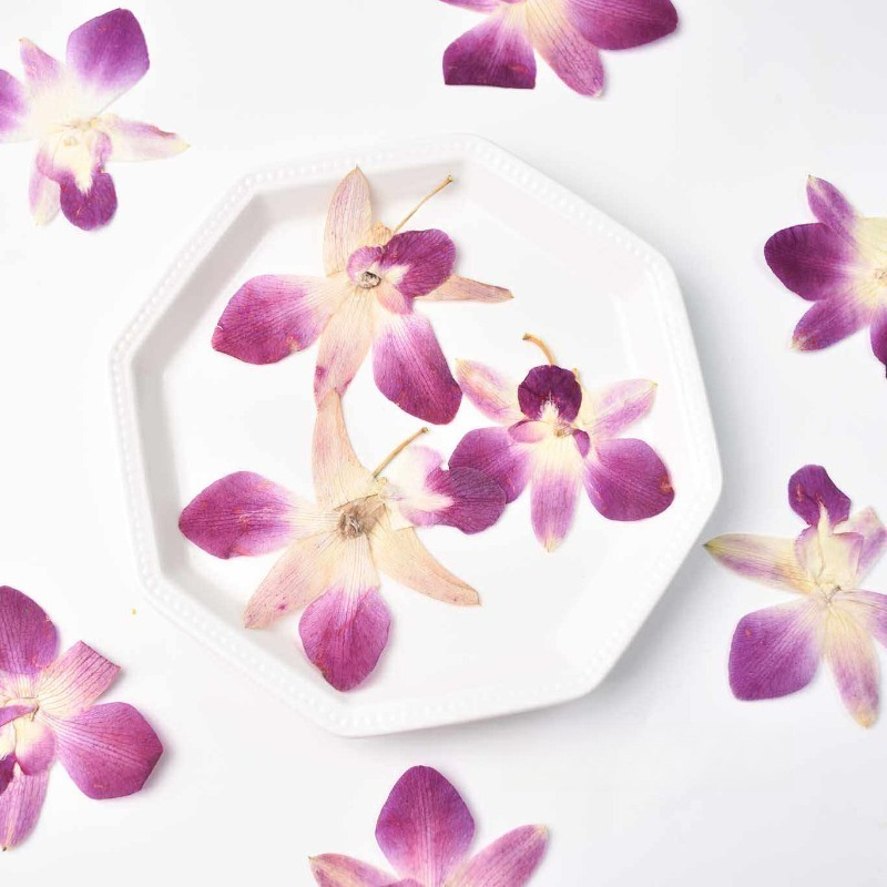 Art Craft For 3 Year Old - 4pcs,Real Pressed Butterfly Orchid Flowers DIY